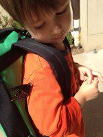 Painted Lady Butterfly we released