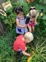 hand in hand learning land center 2