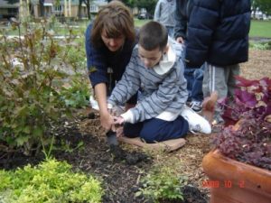 11. Pathways through Plantings-Teacher and student planting