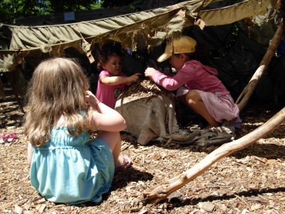 C2012_60513_Hamill Play Zoo 02