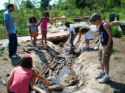 stå på række Udstyr mikroskop Mass Audubon's Boston Nature Center Nature Nook - Nature Explore Program