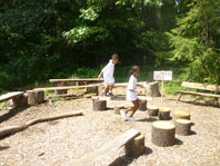 The Washington Youth Garden At The National Arboretum Nature